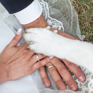 Bride, groom & dog putting hands together